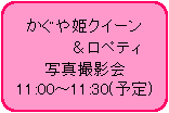 フローチャート : 代替処理: かぐや姫クイーン
　　　　＆ロペティ
写真撮影会
11:00〜11:30(予定)　　　　　　　